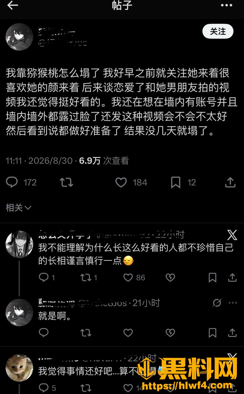 网红 11