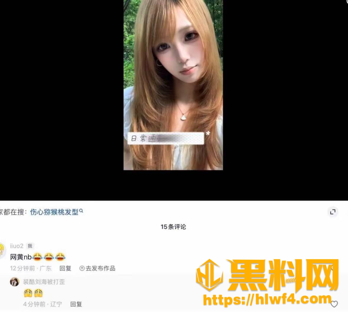 网红 14