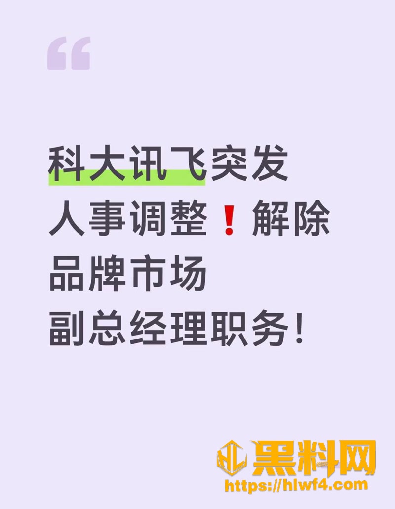 01科大讯飞1 1wm