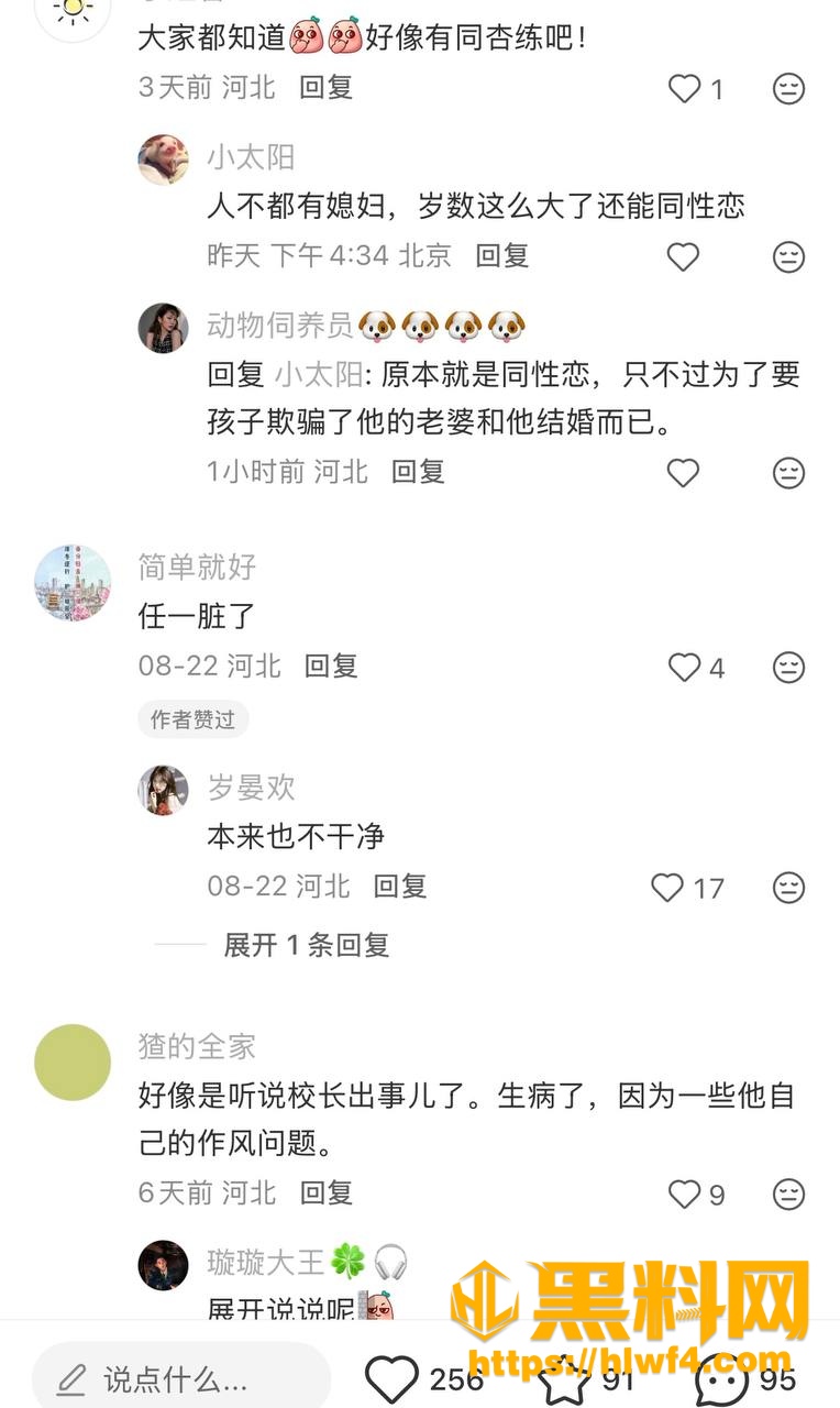 任丘一中朱峰八卦 2