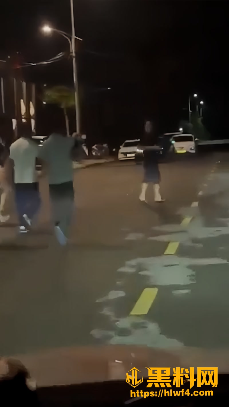 02越南出租车司机被打事件1 2wm