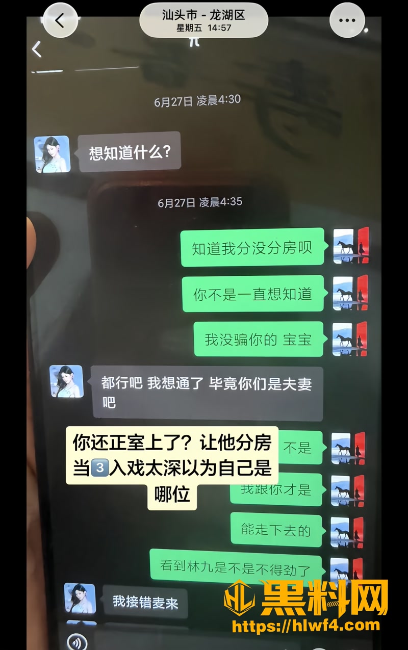 14卢金金被包养事件2 5wm