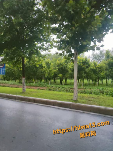 photo1020251029233114