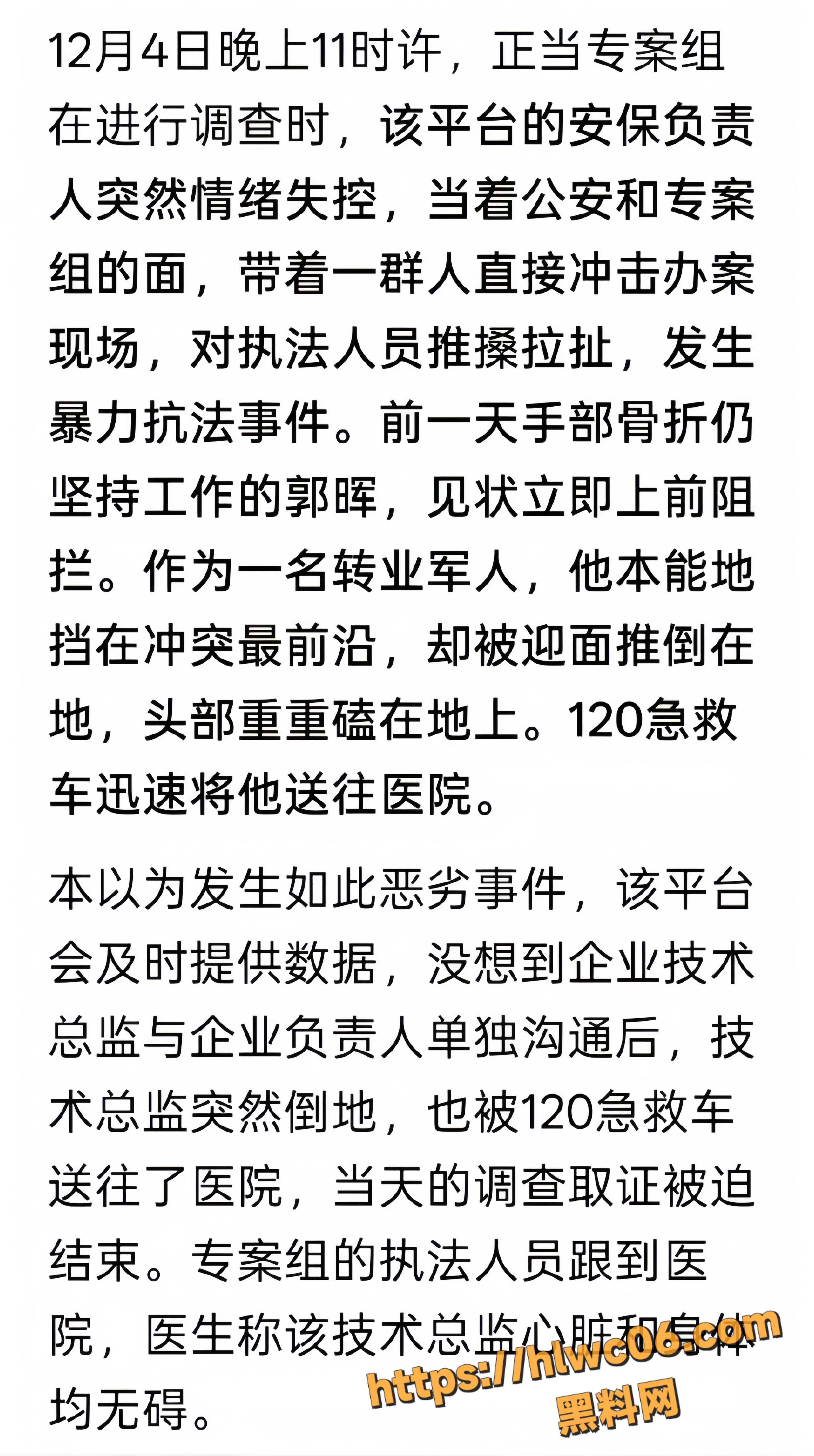 暴力抗法 7
